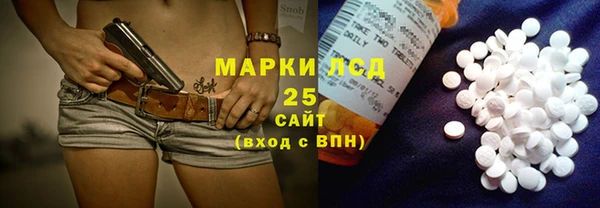 шишки Алзамай
