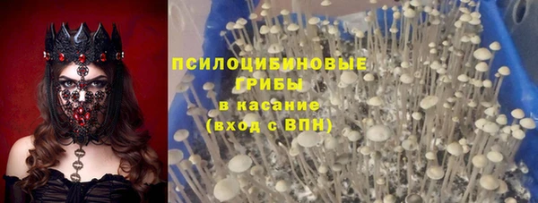 шишки Алзамай