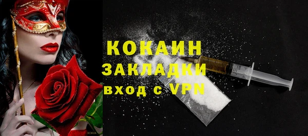 шишки Алзамай