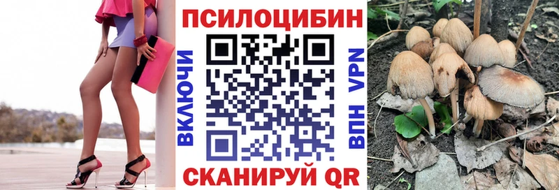 где купить наркотик  Новая Ляля  Галлюциногенные грибы прущие грибы 